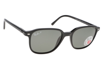 Ray-Ban RB2193 Leonard - 901/58 (51)