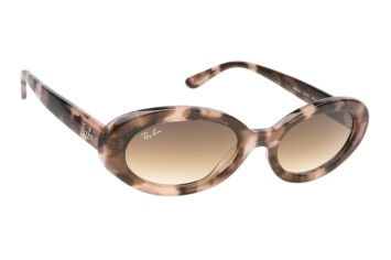 Ray-Ban RB2223 - 1449/51